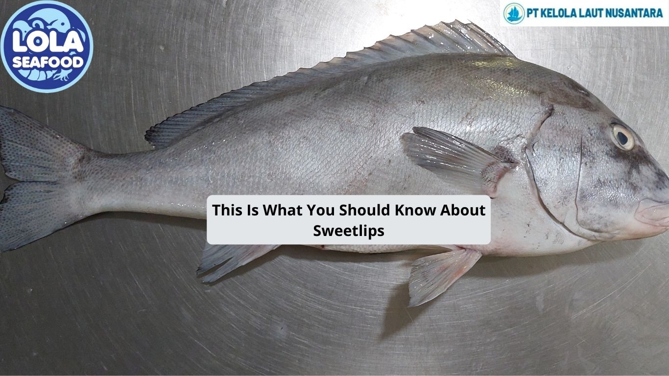 This Is What You Should Know About Sweetlips